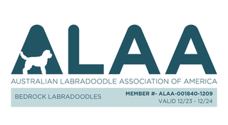 Australian Labradoodle Association of America