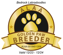 ALAA Gold Paw