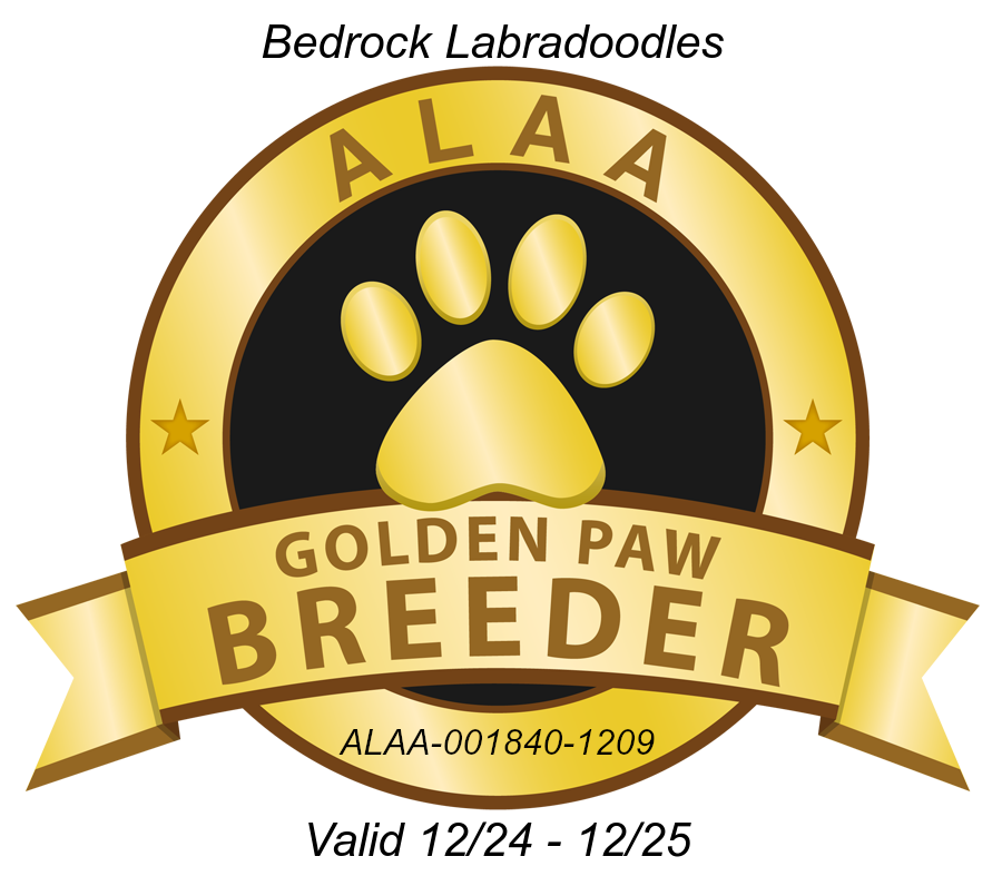 ALAA Gold Paw