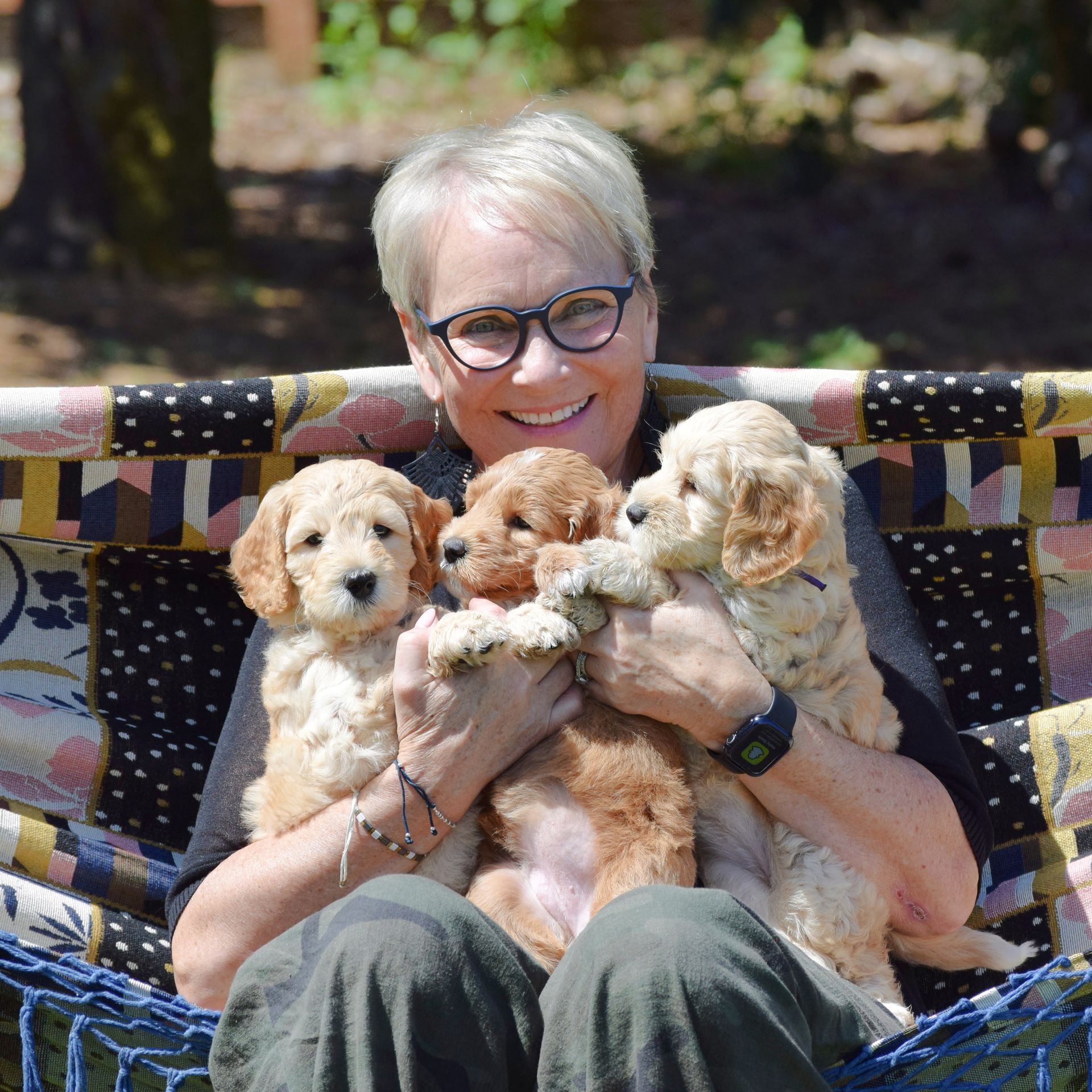Maggie holding three Australian Labradoodle puppies.