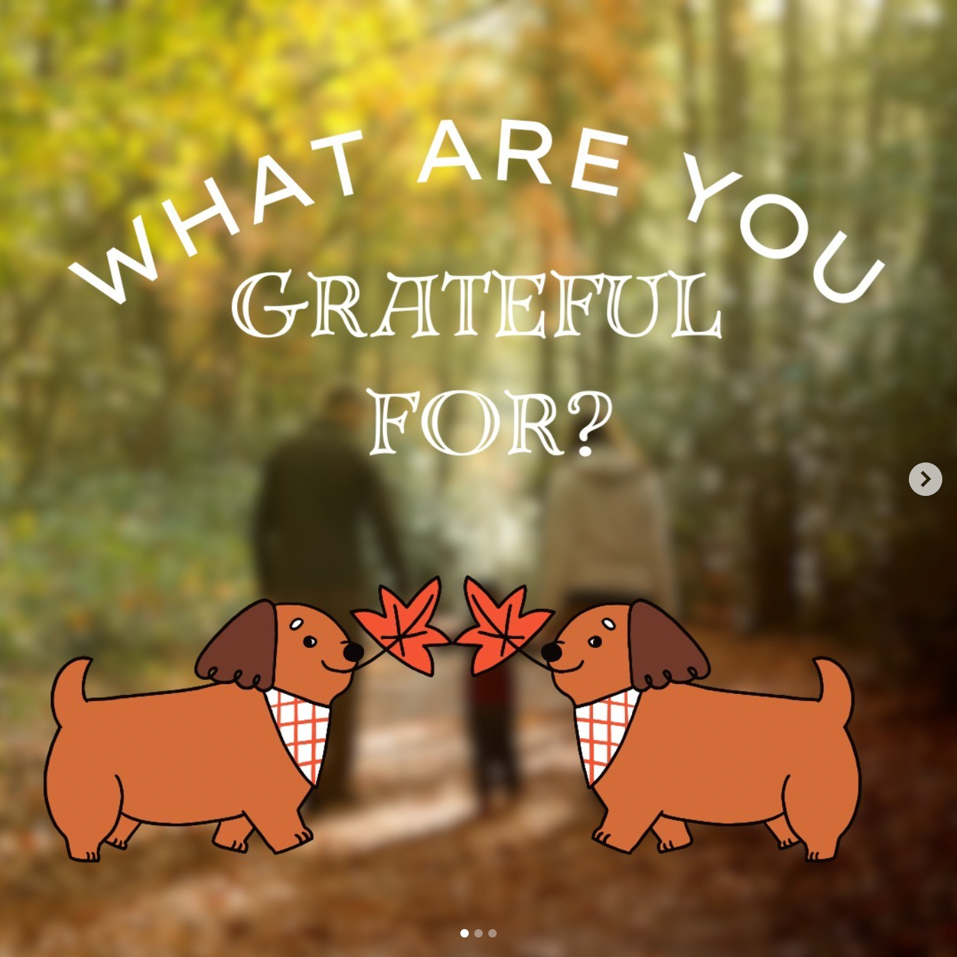 Two cartoon dogs holding leaves, text: