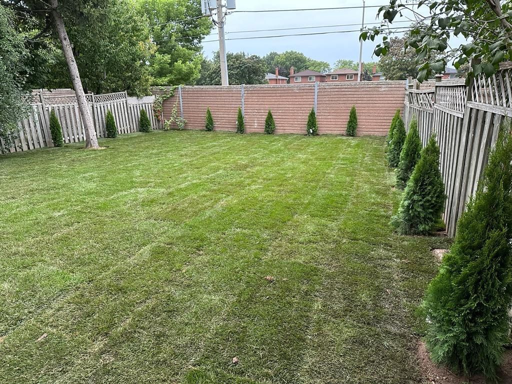 A lush green backyard with a wooden fence and trees.
