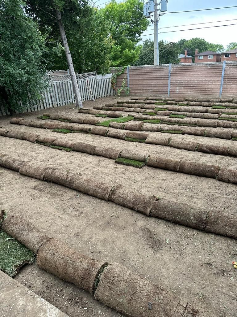 A row of rolls of turf sitting on top of a dirt field.