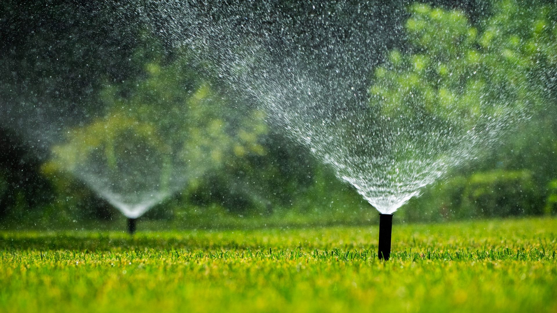 Two sprinklers are spraying water on a lush green field.