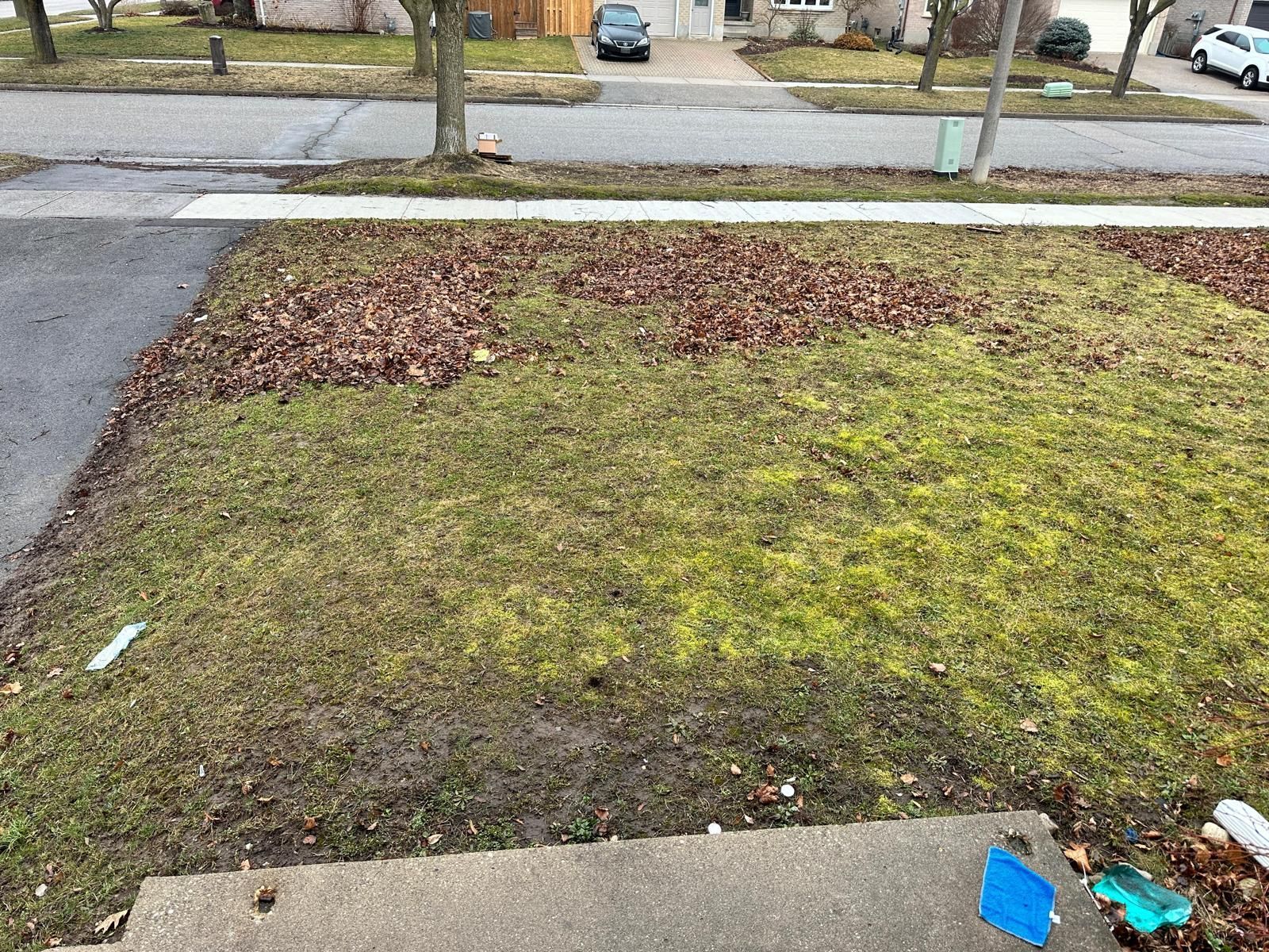 A lawn with a lot of leaves on it in front of a house.