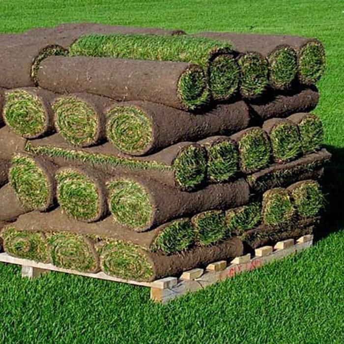 A bunch of rolls of grass are stacked on top of each other on a wooden pallet.