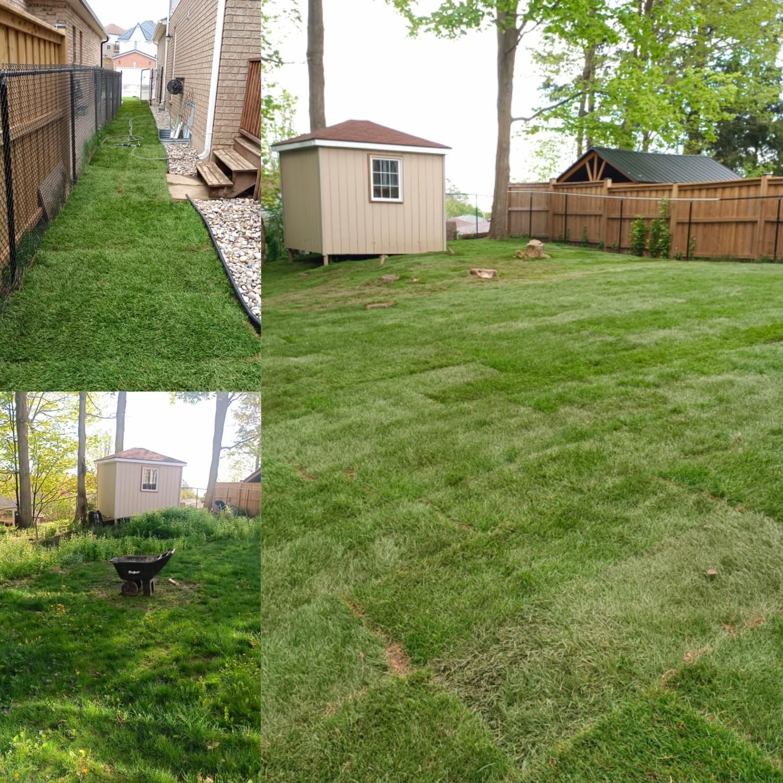 A field filled with lots of plants and rocks on a sunny day.