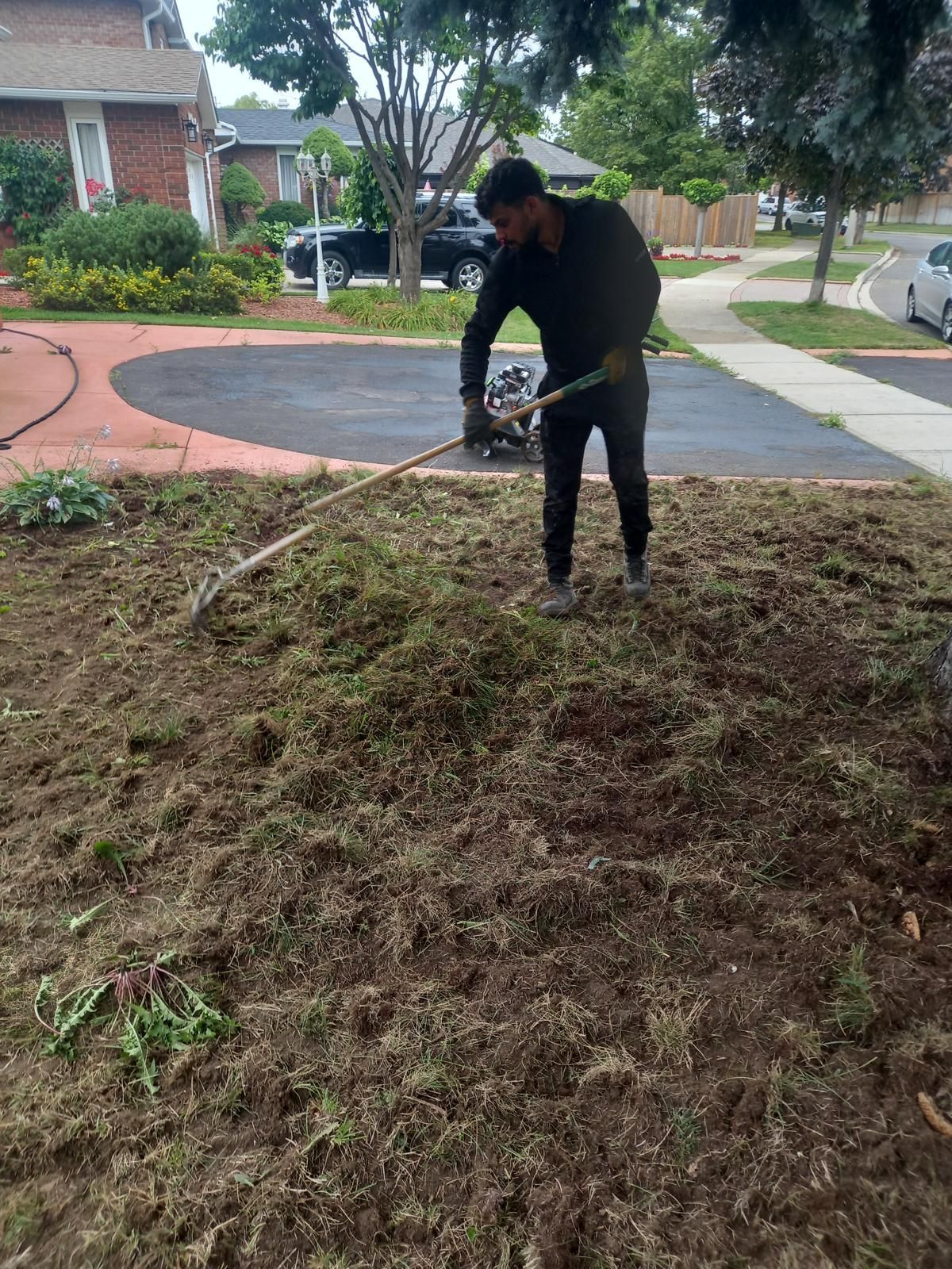 A man is raking the grass in a yard with a rake.