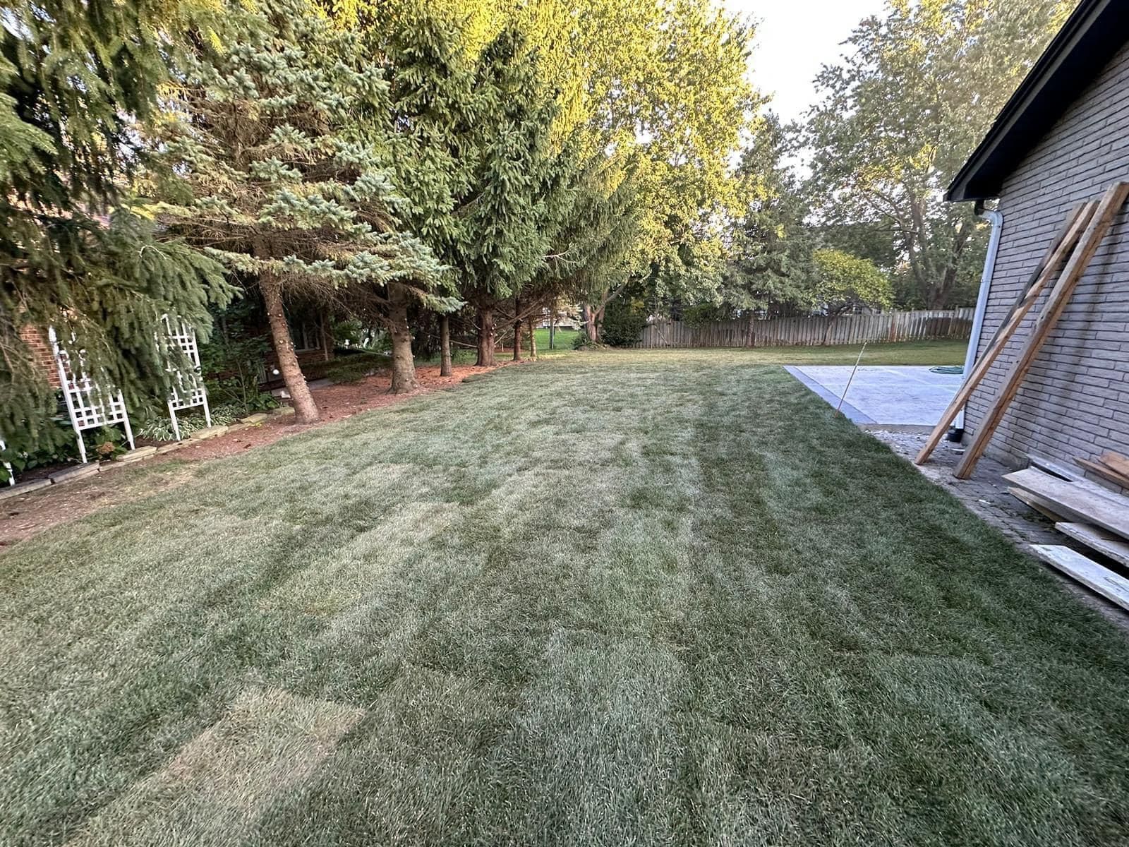 A backyard with a lush green lawn and a house in the background.