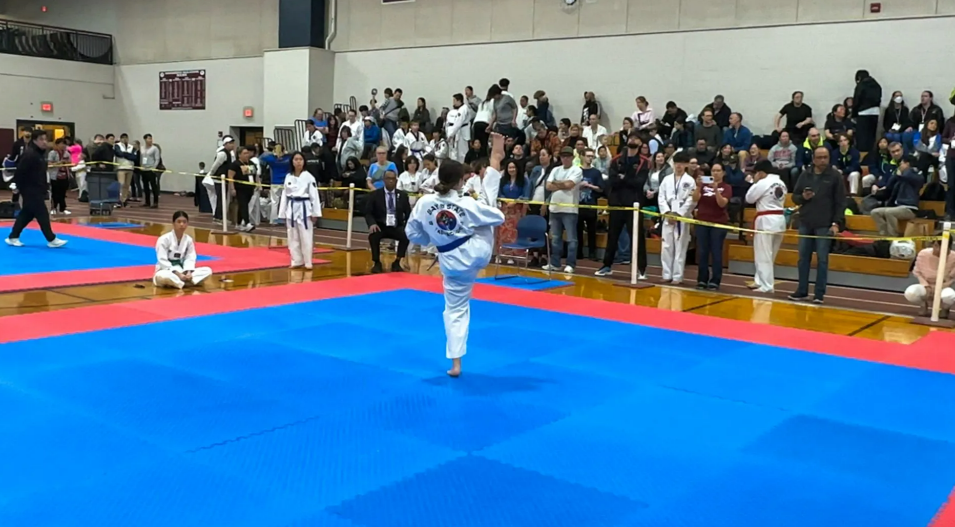 A group of people are practicing martial arts in a gym.