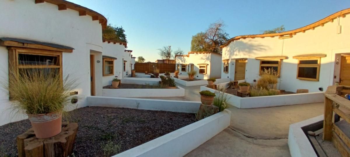 Una hilera de edificios blancos con plantas en macetas delante de ellos.