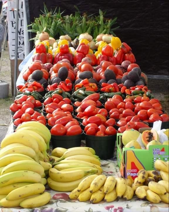 Produce stand with tomatoes, peppers, avocados, bananas, and papaya in bright colors.