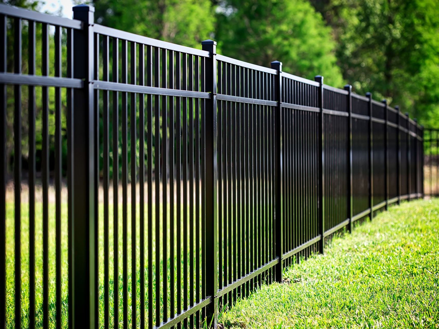 A black metal fence surrounds a lush green field.