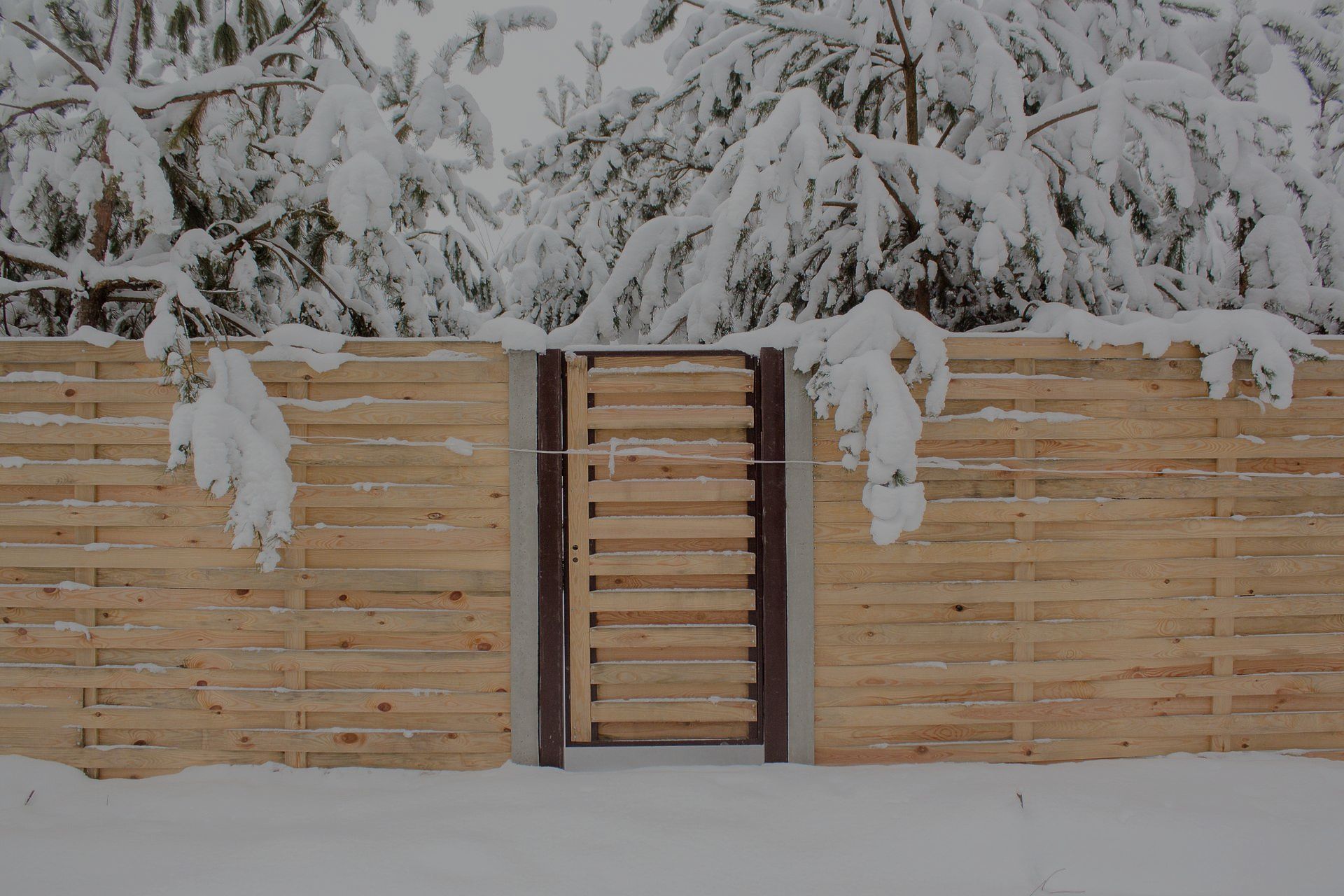 Snow-covered wooden fence with gate; snowy pine trees in background.