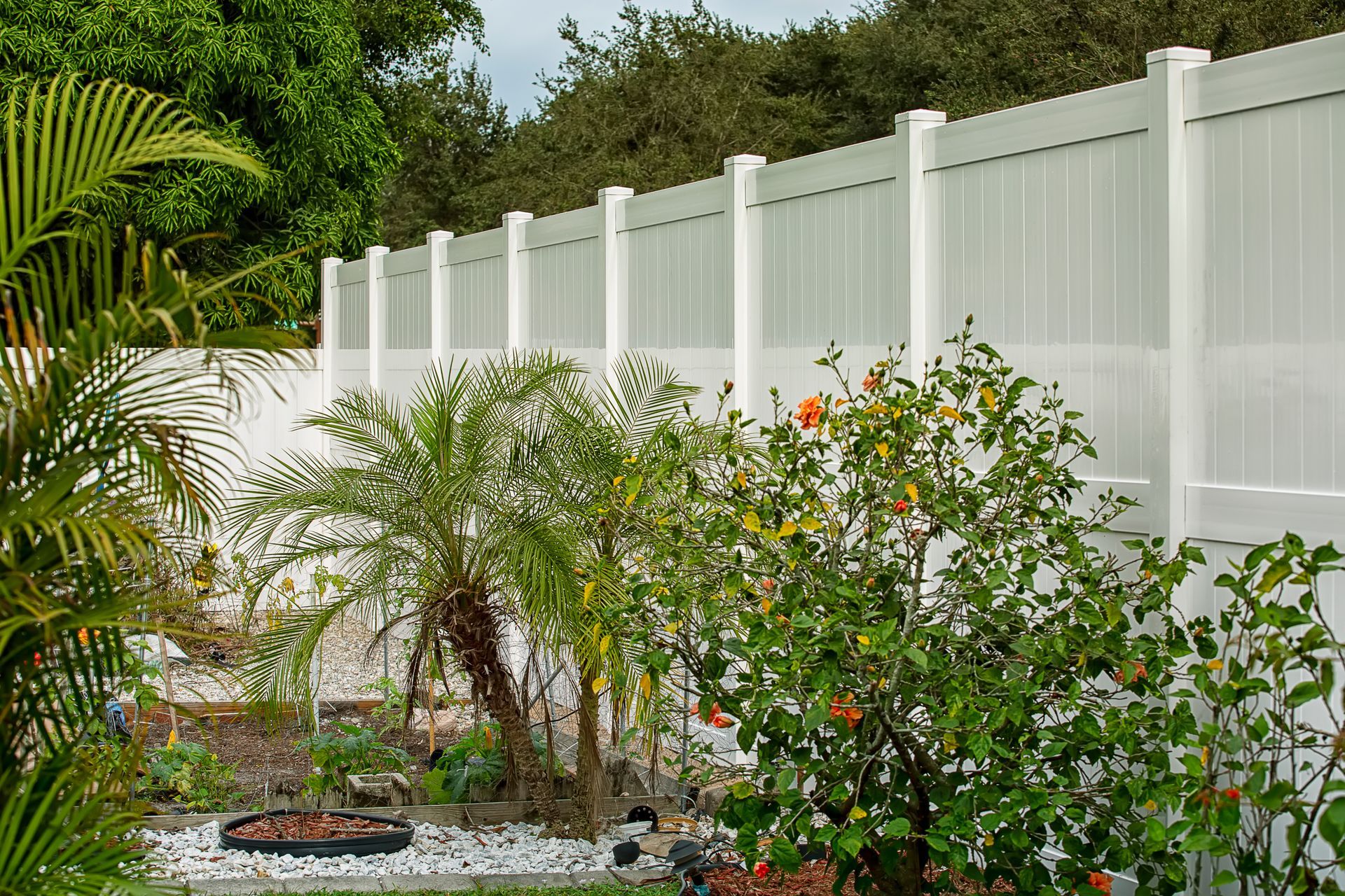 White vinyl fence in a garden with palm trees and other greenery.