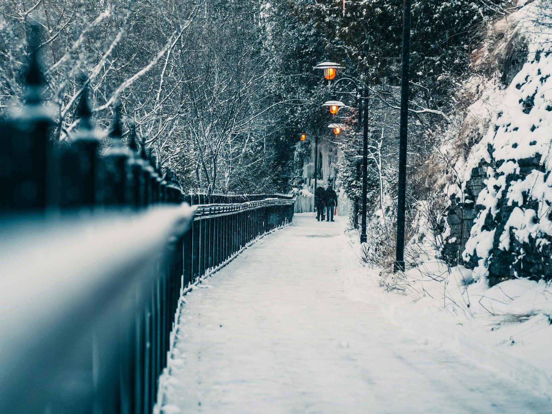 A snowy path in a park with a fence and trees covered in snow.