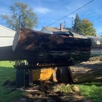 A large, brown tree log is supported by yellow and black machinery, with a house and trees in the background under a blue sky.