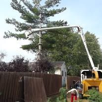 A tree service bucket truck trimming a tall tree next to a wooden fence and a small building.