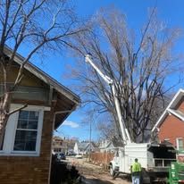 A tree is being trimmed by a bucket truck in front of a house on a sunny day.