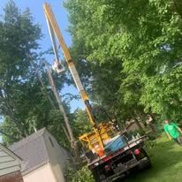 A cherry picker trimming a tree next to a house on a sunny day. A worker is in the bucket.