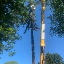 Truck bed loaded with large, irregular brown rocks, likely for landscaping, under a blue sky. The truck has a utility boom.