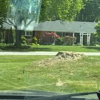 A residential lawn with a tree stump in the foreground and a house with a red brick section in the background. Green grass and trees present.