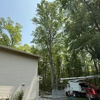 Tree trimming in progress next to a house. A large truck with a crane is positioned near a tall tree.