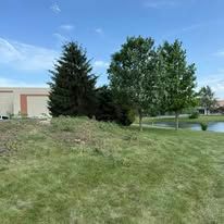 Lush green grass and trees with a building in the background. Sunny, outdoor scene.