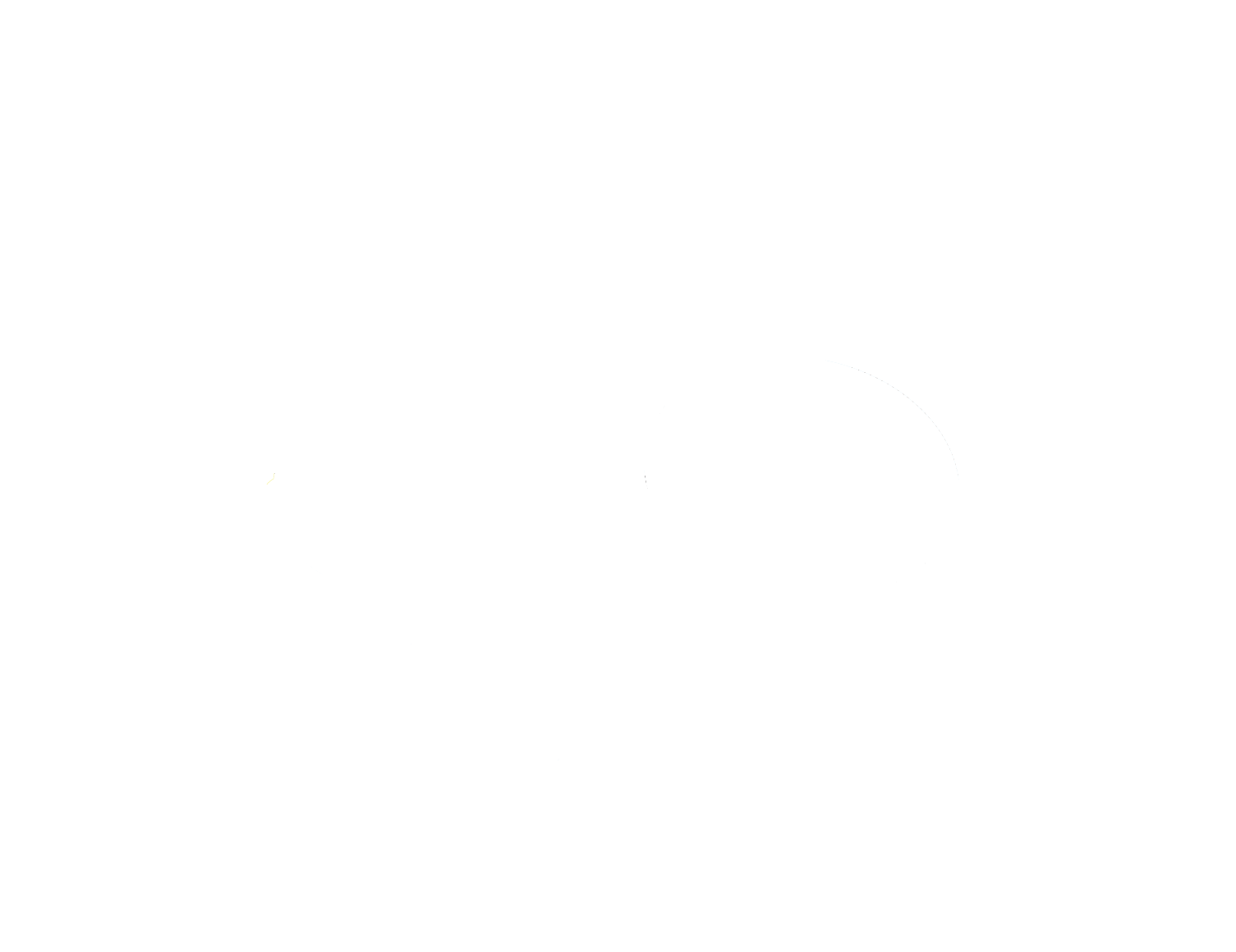 Lemon lime laundry and lemon lime car wash