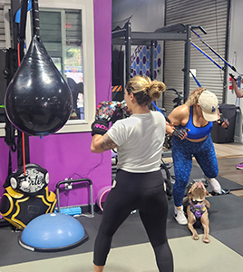 Two women are boxing in a gym with a dog watching.
