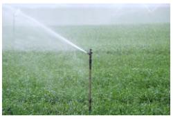 View of installed irrigation system