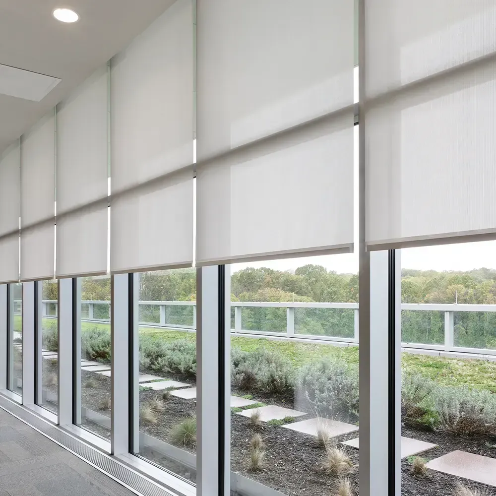 Row of windows with white roller shades, overlooking a rooftop garden with trees and shrubs.