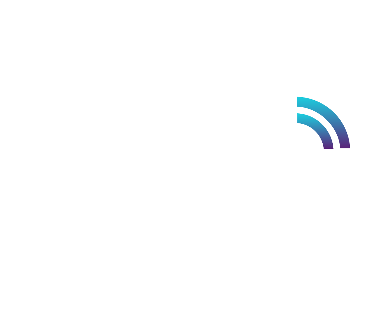 Rivas Technology Group