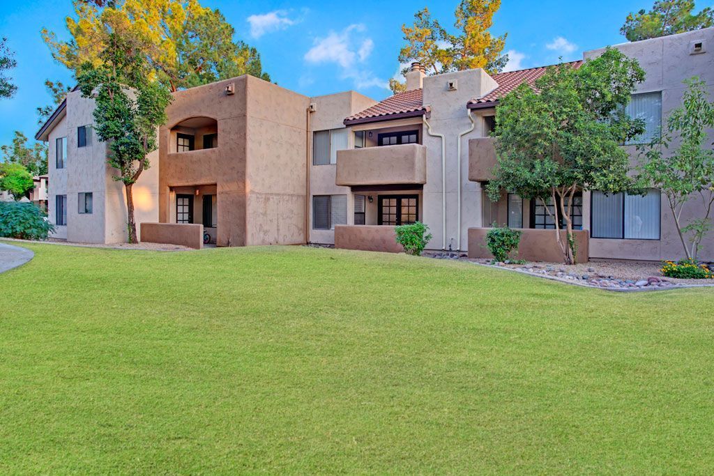 Lawn at Desert Horizon in Scottsdale, AZ.