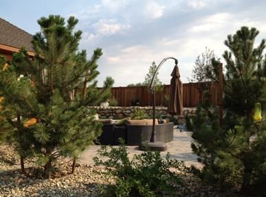 A patio with a fire pit and umbrellas surrounded by pine trees.