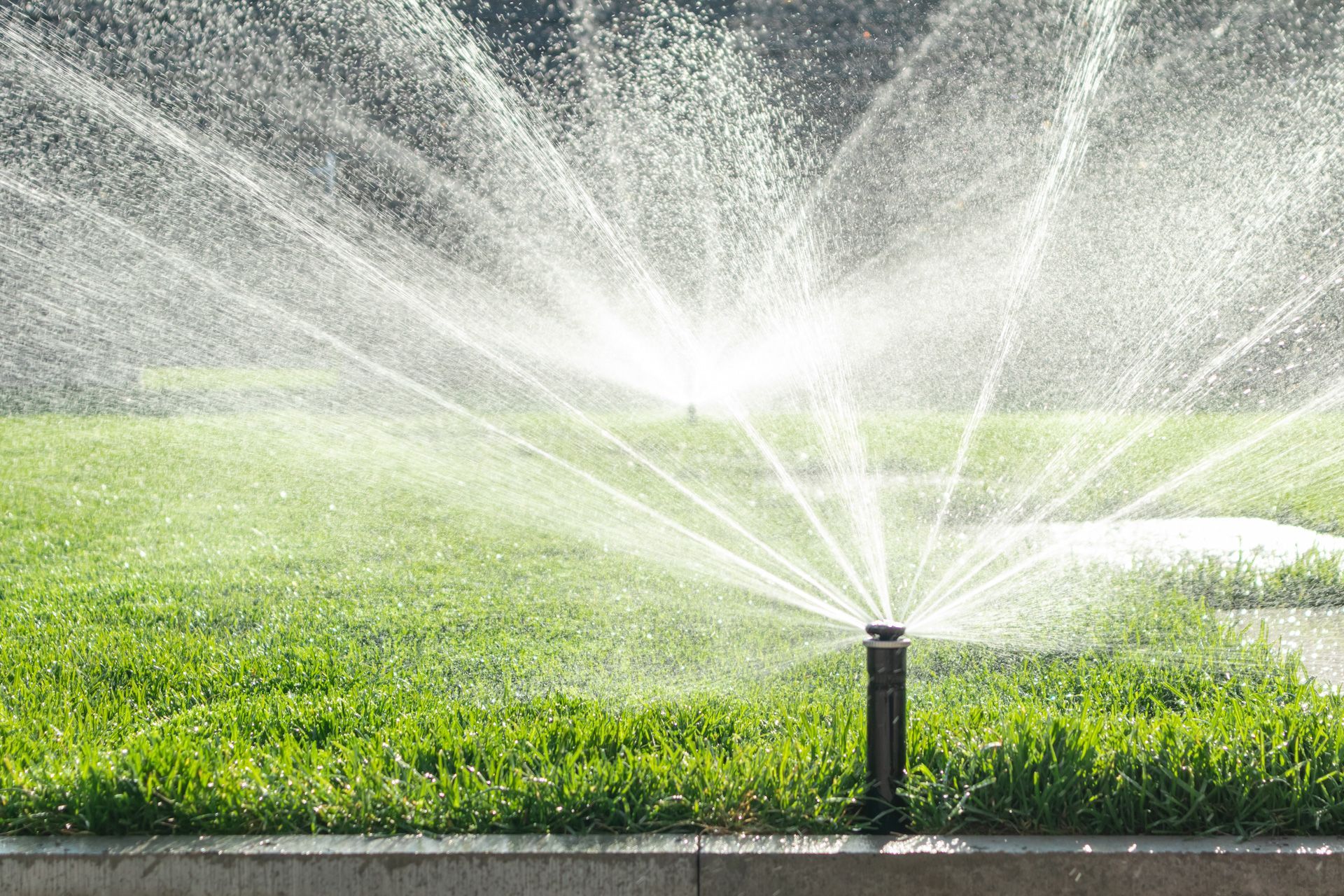 A sprinkler is spraying water on a lush green lawn.