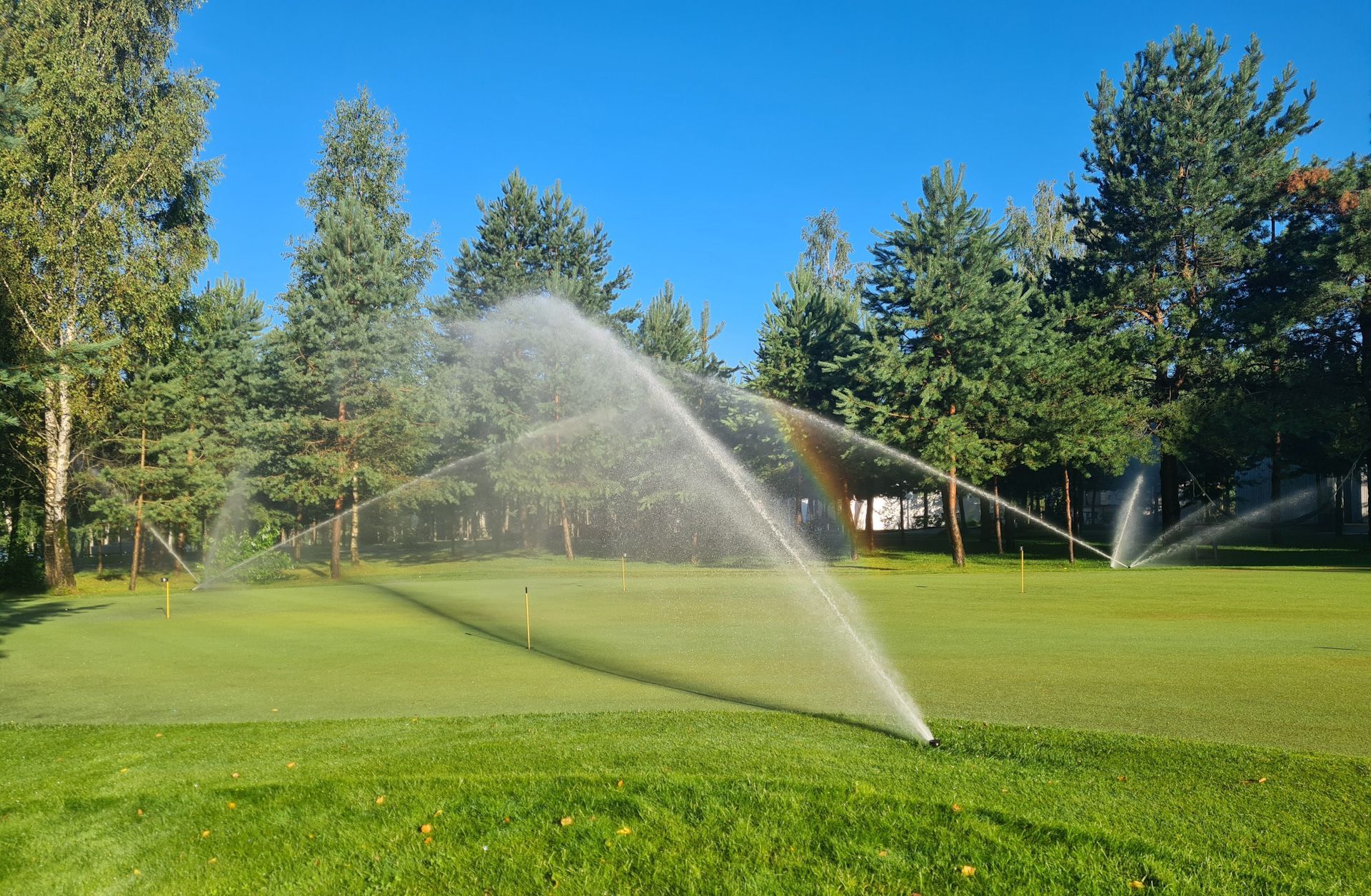 A sprinkler is spraying water on a lush green field.