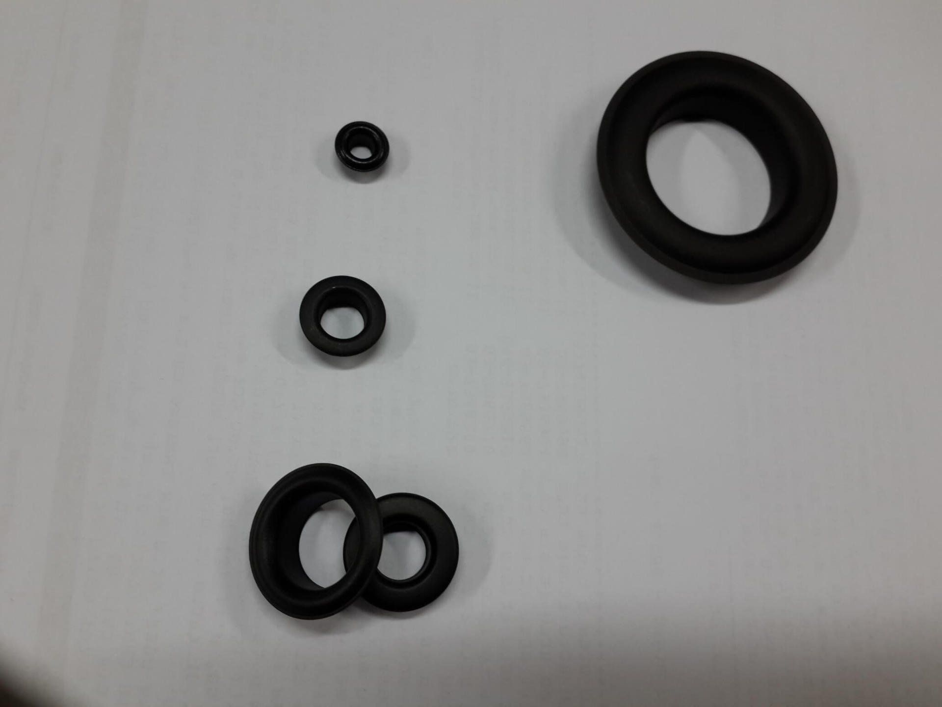 איבקות שחורות