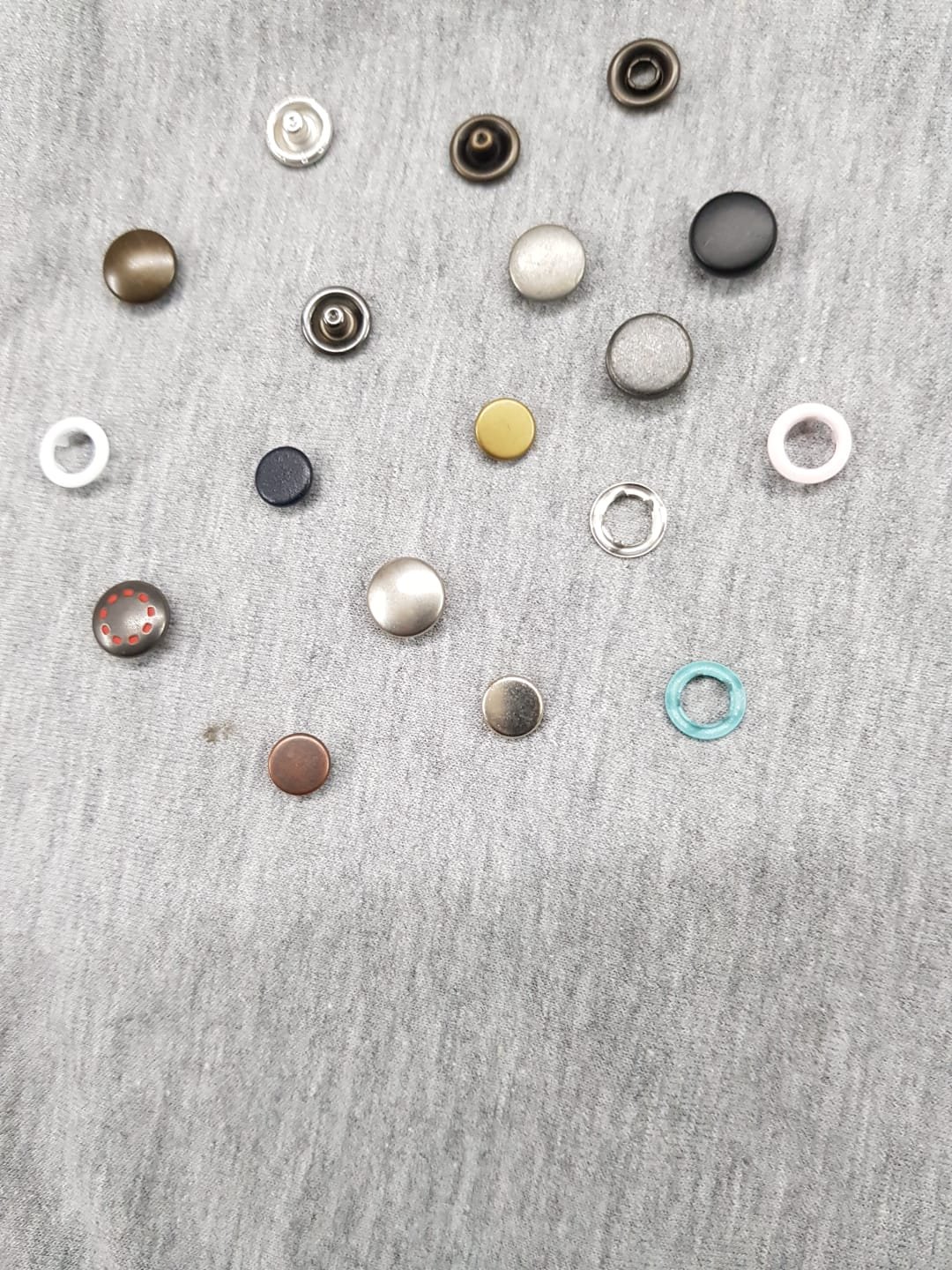 איבקות במבחר צבעים