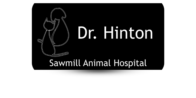 animal hospital name badge