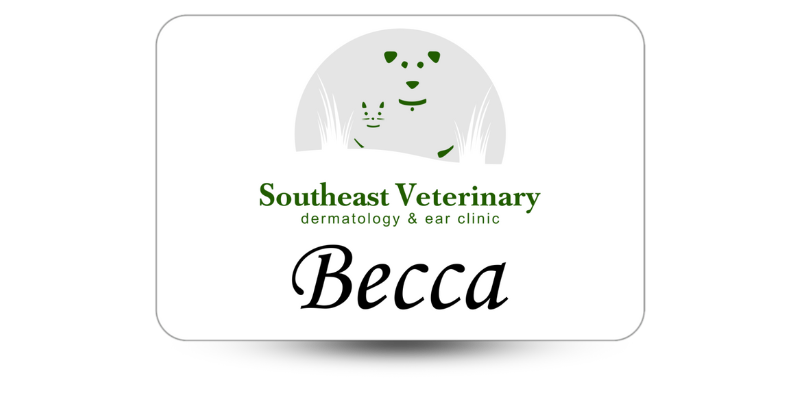 Veterinary staff name tags