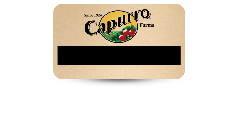 reusable name badge with magnetic backing