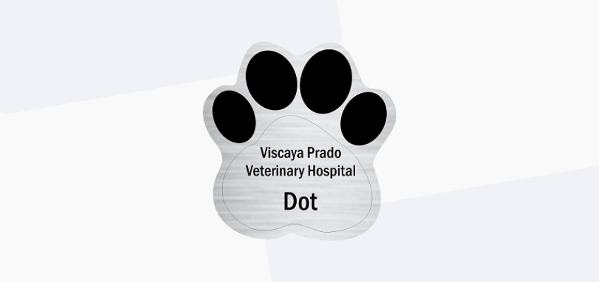 tips for veterinary uniforms and name tags