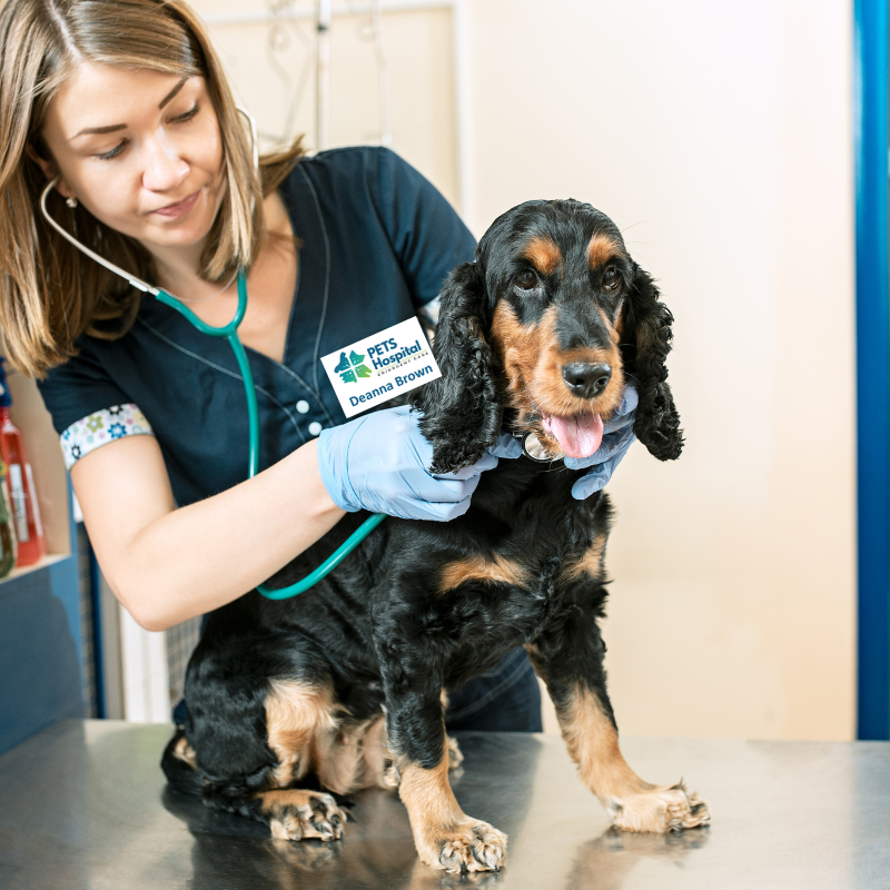Veterinary and Pet Name Tags