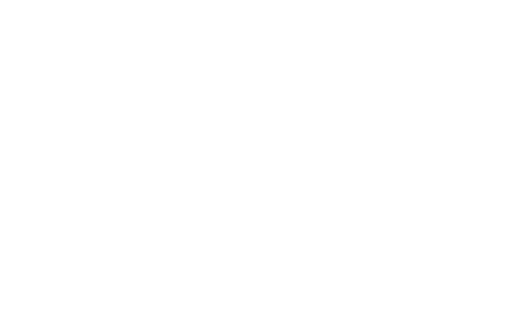 My Case logo