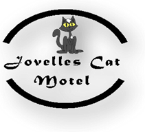 Cat Motel In Toowoomba