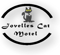 Cat Motel In Toowoomba