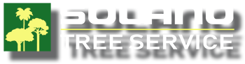 A logo for a company called polaris tree service