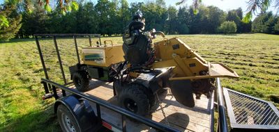 Tree Stump Remover — Springfield, OR — A-1 Ron's Stump & Tree Removal