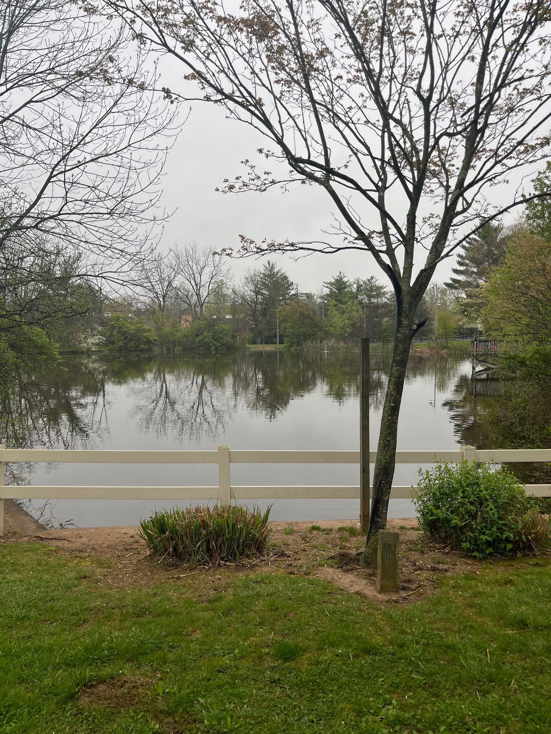 A white fence surrounds a large body of water surrounded by trees.